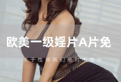 美国一级黄色视频,内容、影响及社会反思