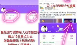 吃瓜爆料王大炮微博,揭秘娱乐圈幕后真相