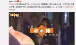 97啪啪视频,一场视觉与情感的震撼之旅